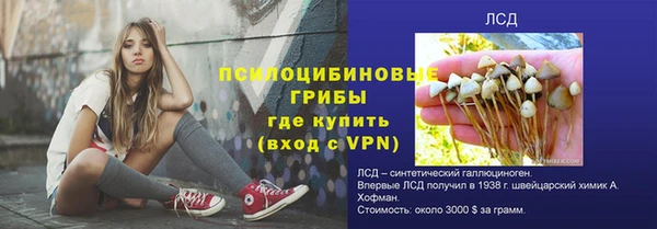 спайс Белокуриха