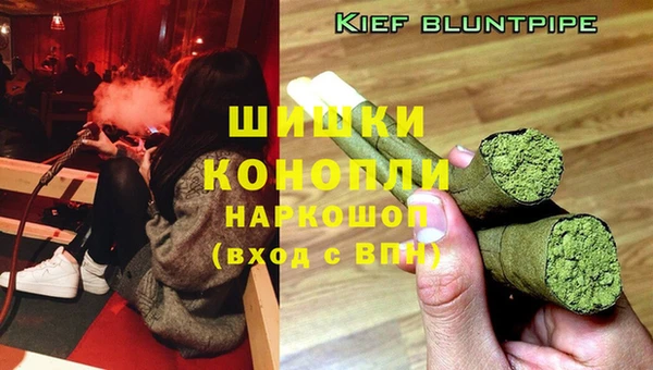 спайс Белокуриха