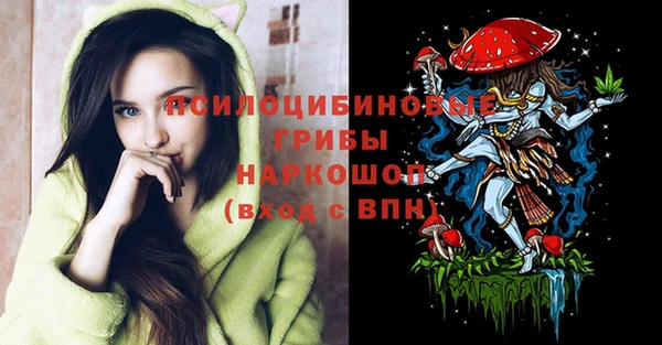 спайс Белокуриха